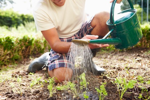 Gardening team trimming a small front yard near shops